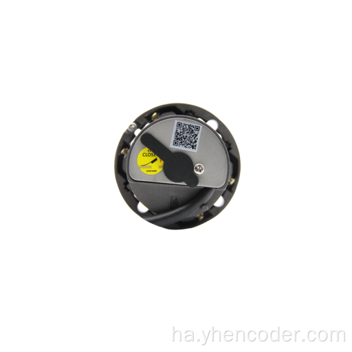 Magnetic tsiri encoder encoder